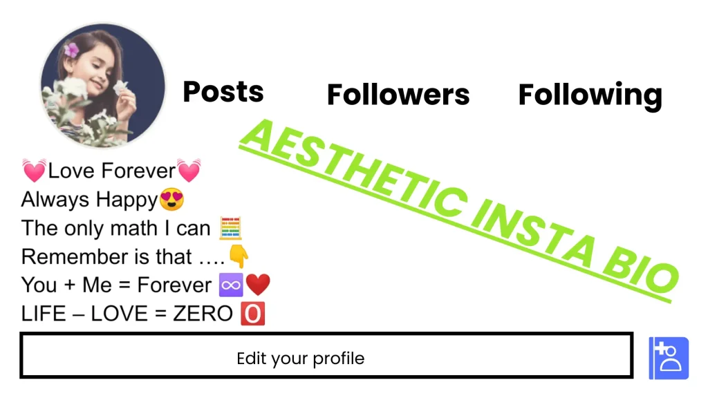 Aesthetic Instagram Bio For Girls